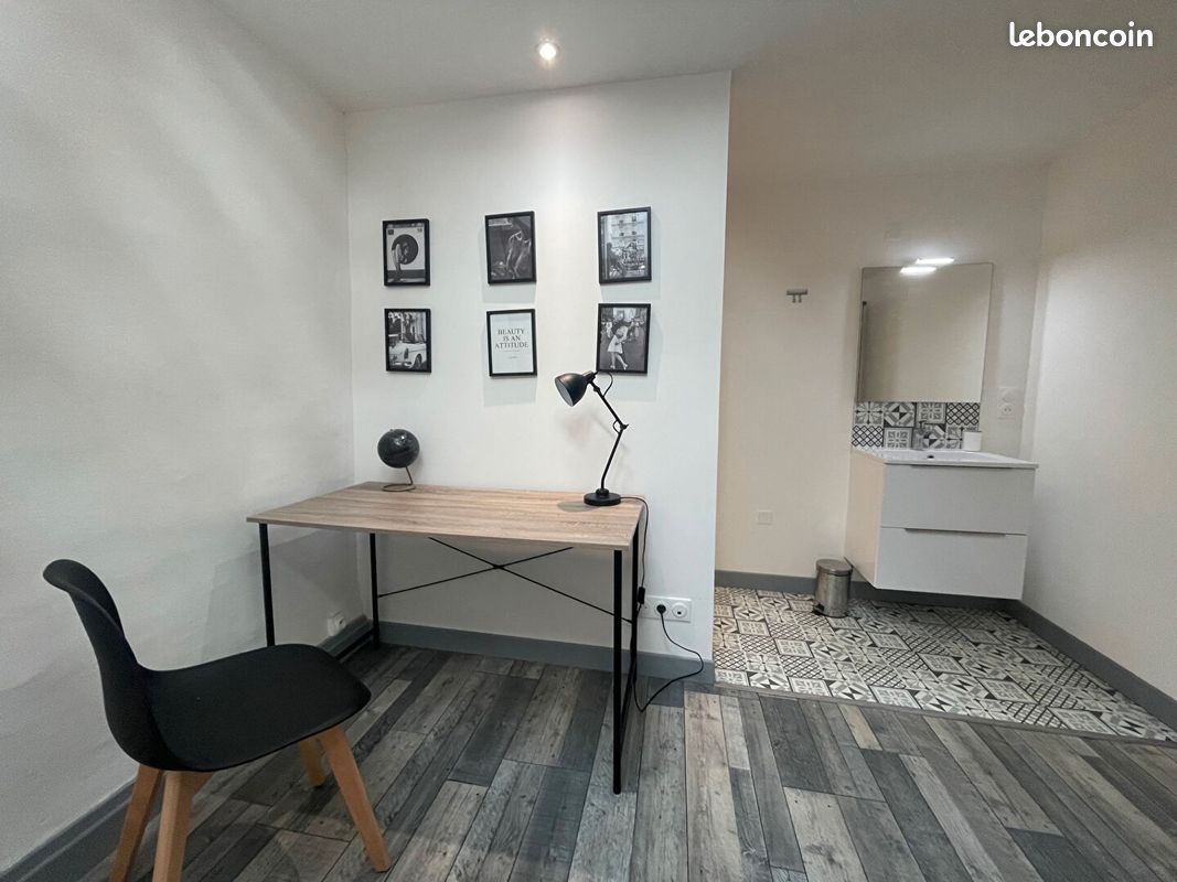 Appartement 1 pièce 10 m² - Agen 47000 (image principale 3)