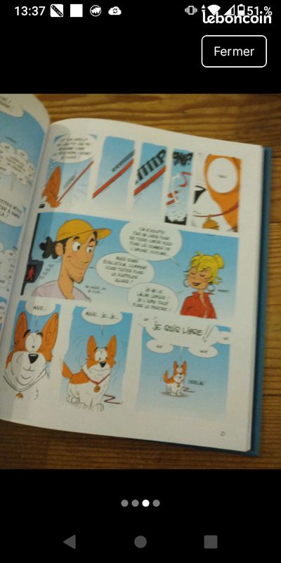 Bd tibod dogsitter (image 4)