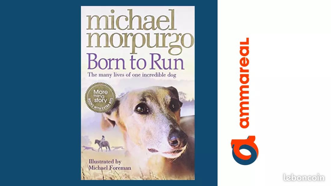 Born to Run (Collector's Edition) (image 1)