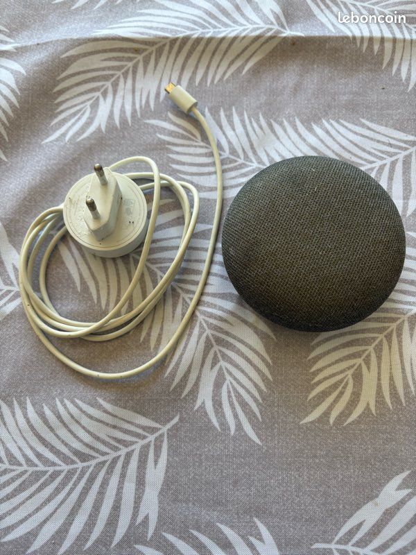 Google home mini (image 1)