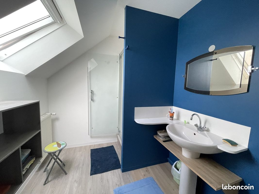 Propriété 10 pièces 271 m² (image 15)