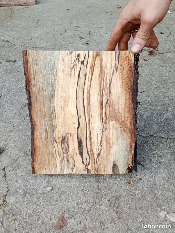 Bois pour sculpture ou tournage - Aulne, Noyer noir, bois échauffés et autres (image 4)