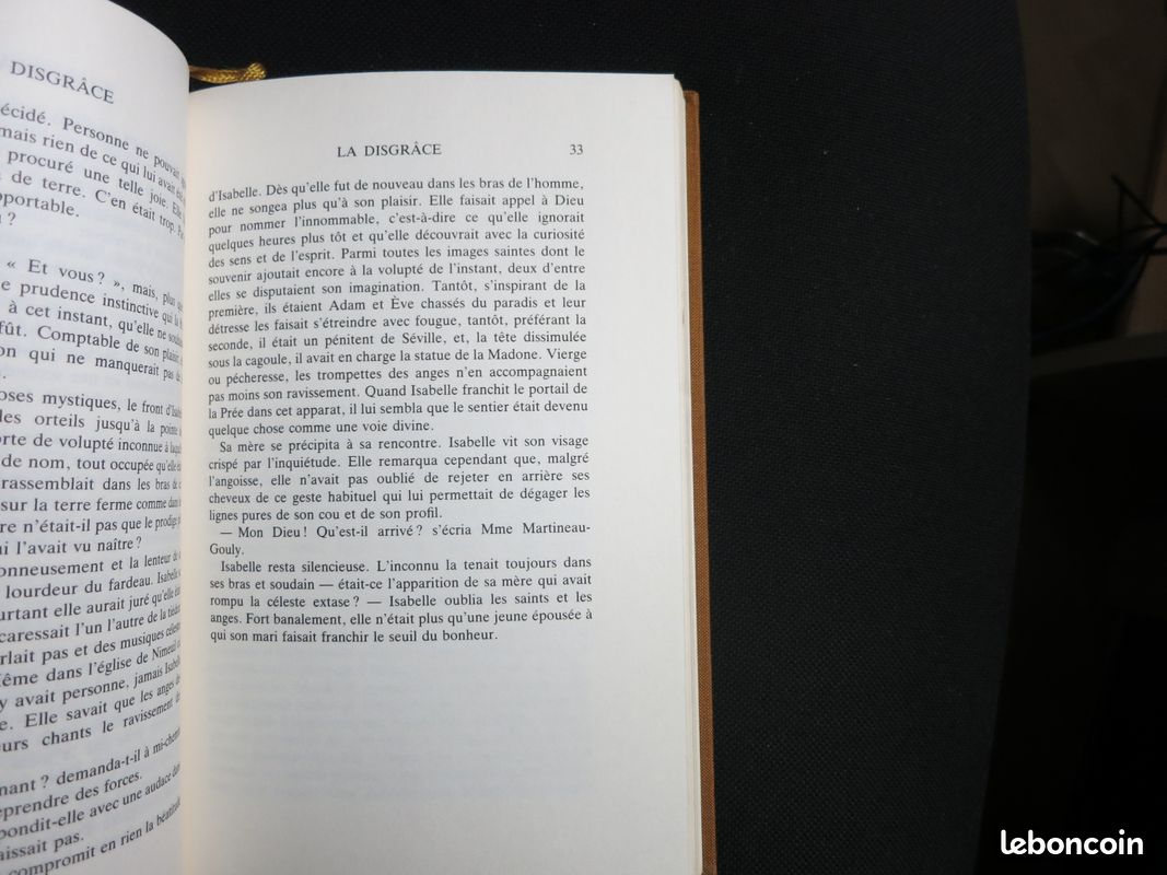 La Disgrâce - nicole avril (image 6)