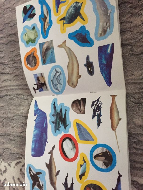 Livre apprentissage - baleine et dauphin (image 2)