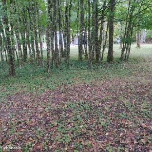 Terrain de loisir (image 5)