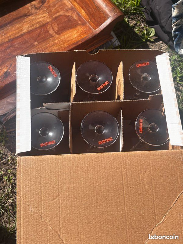 Lot de 6 coupes à cocktail Royal Leerdam – Édition Cointreau – 24 cl - Arts de la table