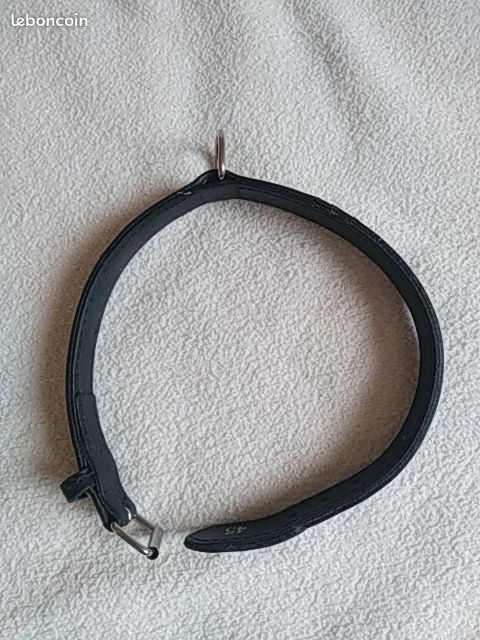 Collier pour chien (image 3)