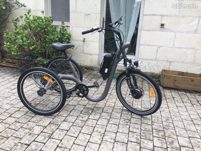 Vélo 3 roues adulte Damius Évasion (image 1)