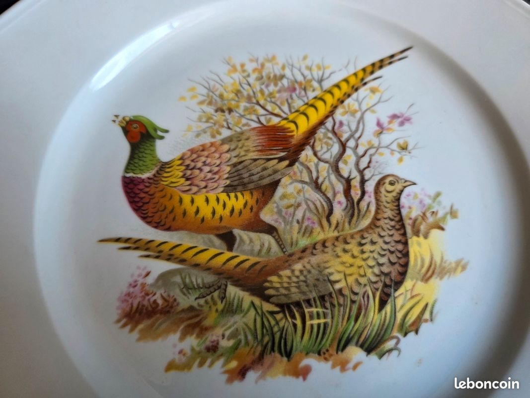Lot de 6 assiettes plates octogonales décor chasse / gibier - 25,5 cm (image 8)