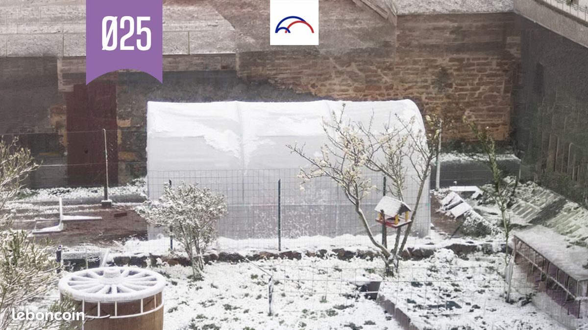 Serre de jardin 3x4,50 Ø25 - double portes larges (image 1)