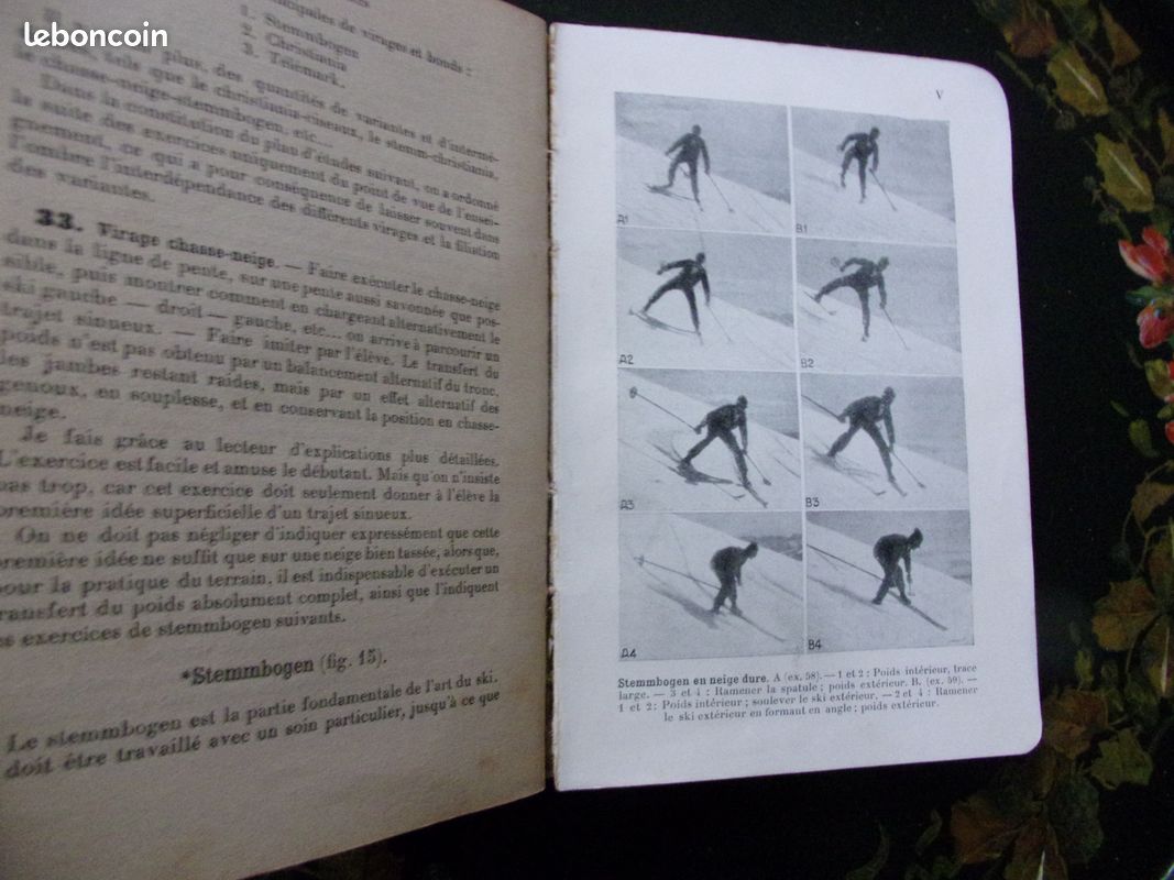 Technique du ski et ABC de l'alpinisme, 1930, 2 livres (image 9)