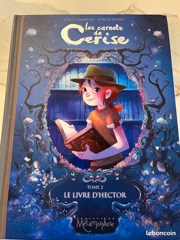 Les carnets de Cerise - Tome 2 (image 1)