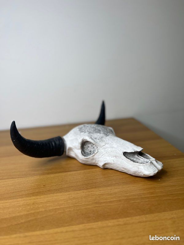 Tête Western Pour Cheval – Occasion – Modèle Fonctionnel