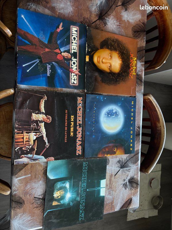Vinyle 33 tours (image 1)