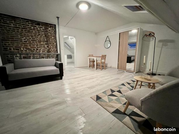 Appartement meublé refait à neuf– Hyper lumineux & tout confort – Disponible 480 par mois