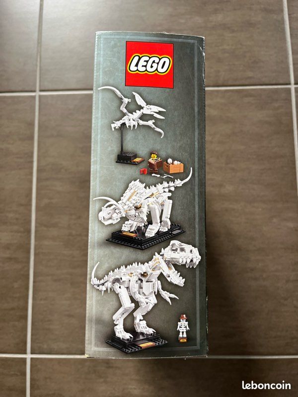 LEGO Ideas - 21320 - Jurassic Les fossiles de dinosaures (image 6)