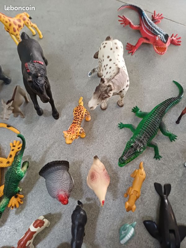 Grand nombre de petits animaux (image 4)