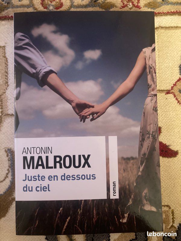 Juste en dessous du ciel - Antonin Malroux (image 1)