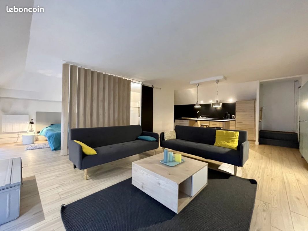 Appartement 1 pièce 52 m² · à Lyon · 52 m² · 1 265 €/mois