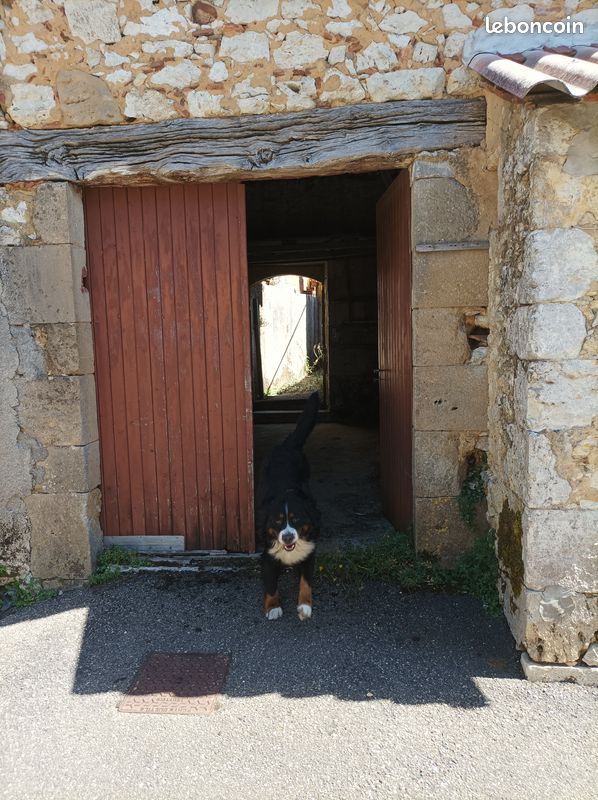 Maison de village (image 3)