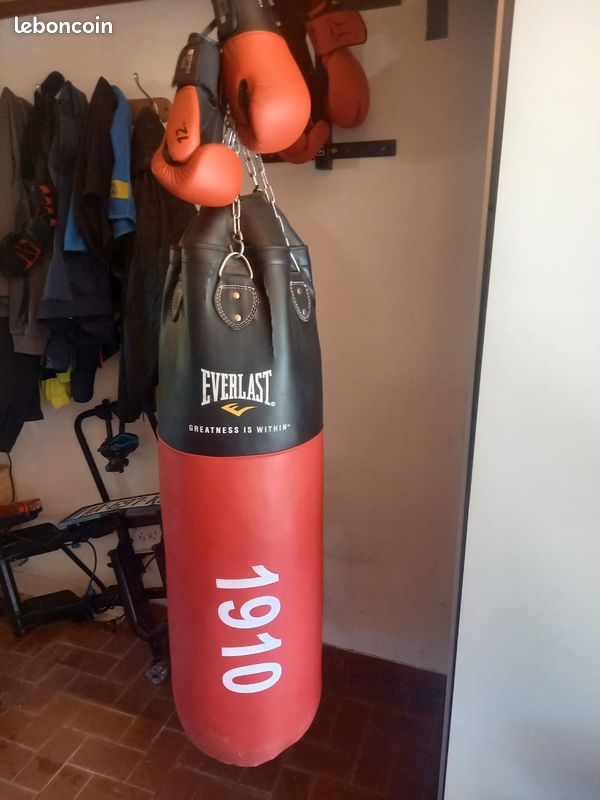 Leboncoin Sac De Frappe Everlast 1910 Avis Casque Boxe Integral