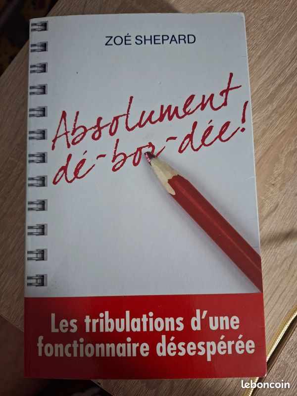 Absolument dé-bor-dée (image 1)