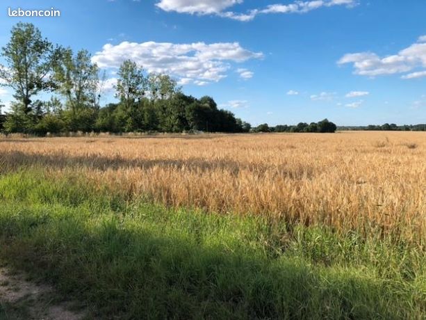 Terrain 1 000 m² Bourgueil