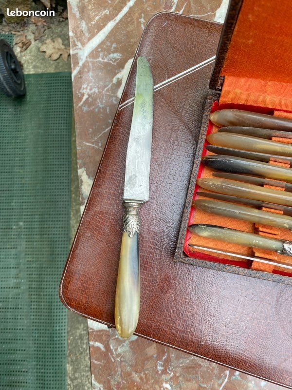 Couteaux avec manche nacré (image 2)