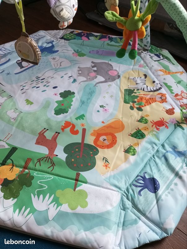 Tapis d'éveil (image 2)
