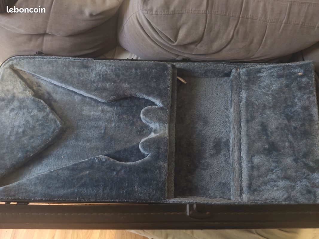 Case epiphone zakk wylde zv (image 2)