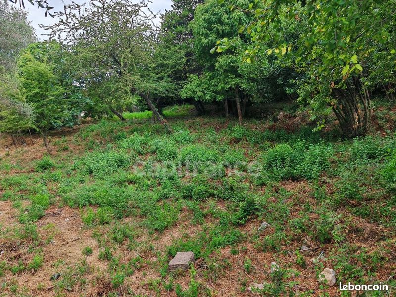 Terrain 3 160 m² Falicon (image 2)