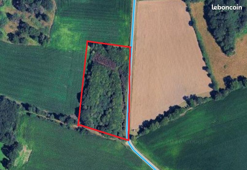 Parcelle boisée/Bois - Trévason à COMBOURG · 11 000 €