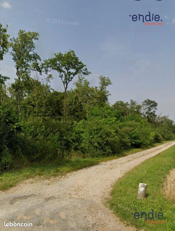 Terrain 19555 m² · à Saint-Denis-de-Palin · 19 555 m² · 210 000 €