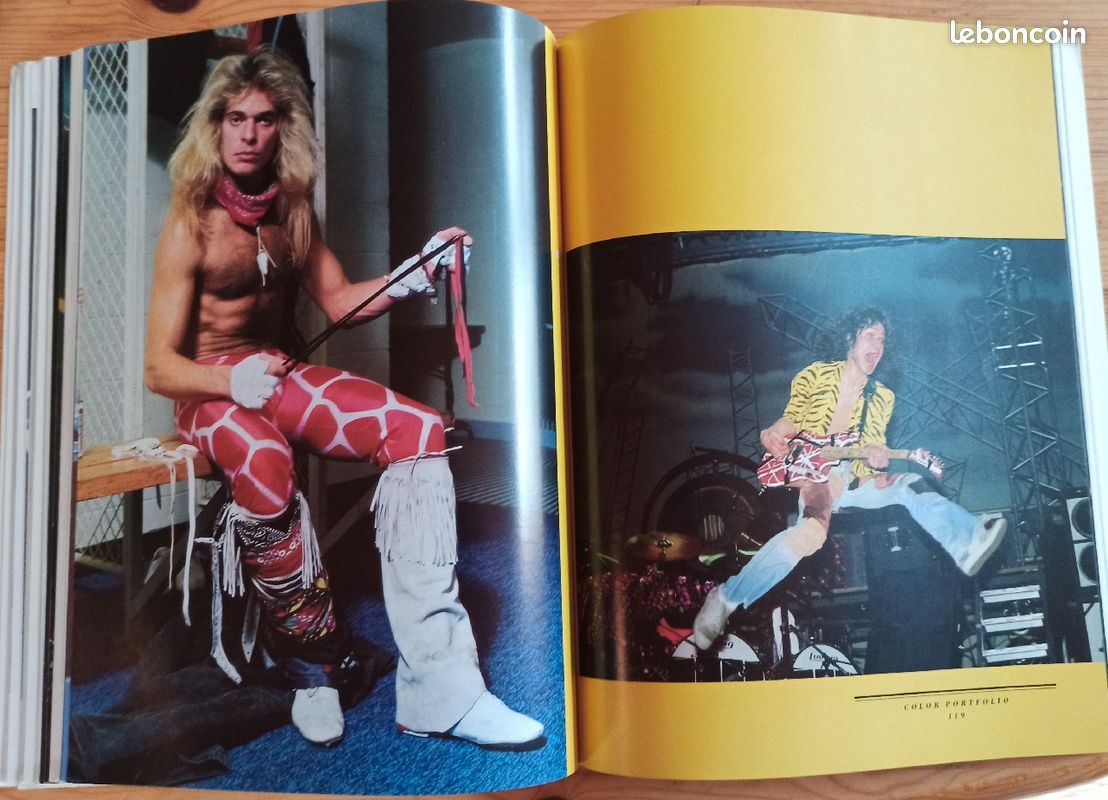 Livre Hard Rock 'Heavy Metal Thunder' de Philip Bashe 1985 214pages (image 8)
