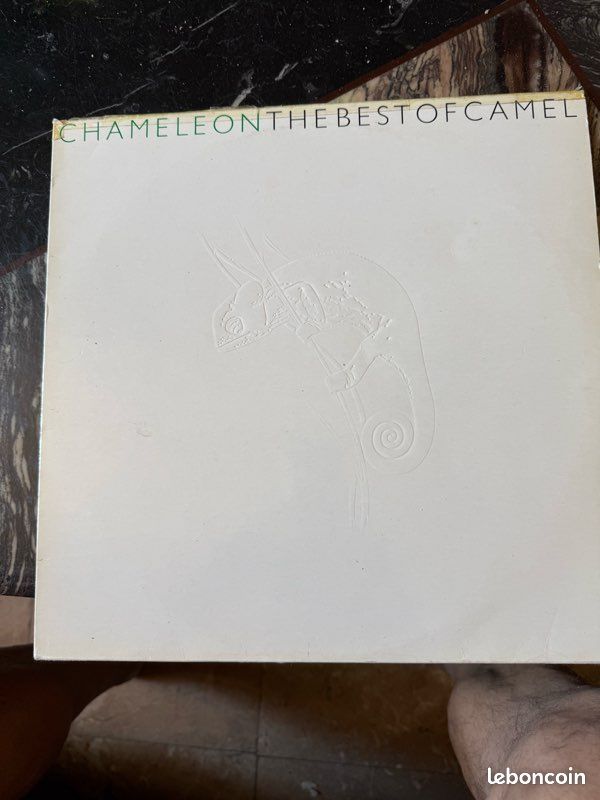 Camel vinyle best of (image 1)