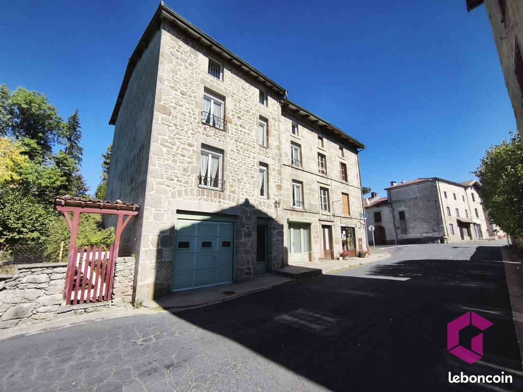 Maison 13 pièces 230 m² · à Fournols · 230 m² · 79 999 €