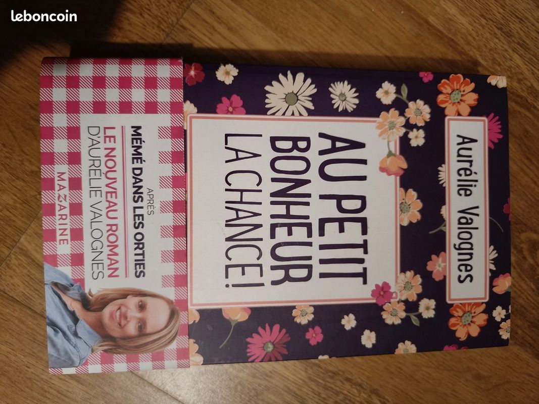 Au petit bonheur la chance Aurélie Valognes (image 2)