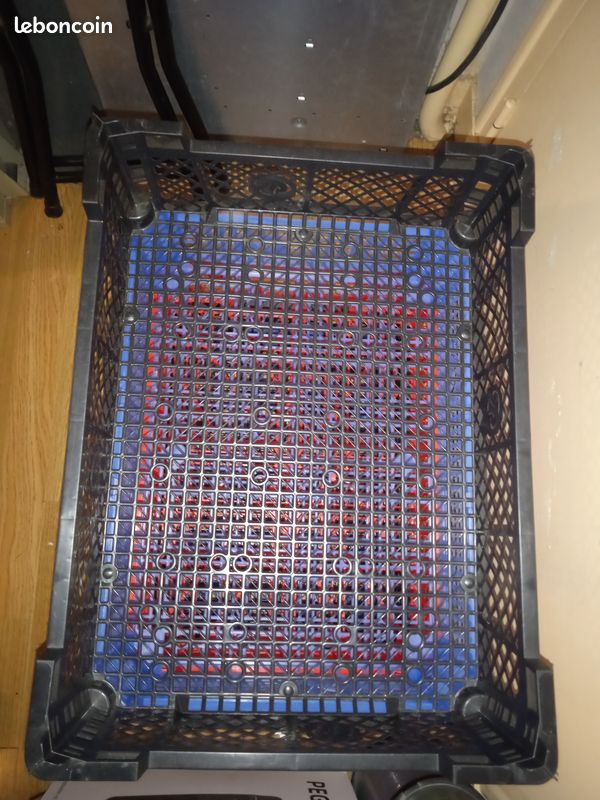 Lot de cagettes en plastique empilables, caisse à champignons ou rangement 40x30x10cm (image 2)