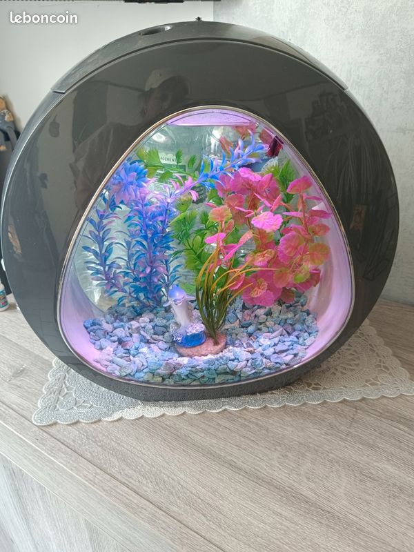 Aquarium inwa stone 13 litres (image 1)