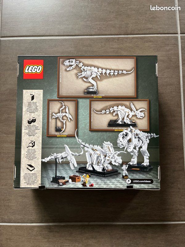 LEGO Ideas - 21320 - Jurassic Les fossiles de dinosaures (image 2)