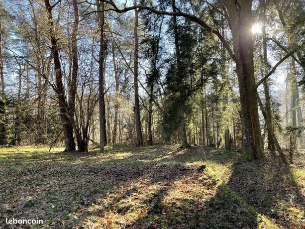Terrain 14000 m² Niederbronn-les-Bains