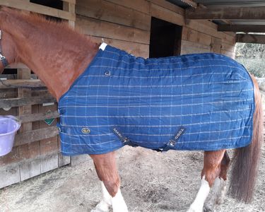 Couverture D'écurie Pour Cheval De Luxe Avec Col Horka - Bleu - 165/215