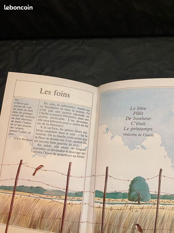 Livre du printemps (image 8)