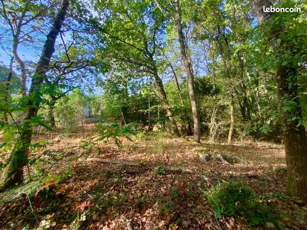 Terrain constructible de 1270 m² à 30 mn des plages · à Gourbera · 95 000 €