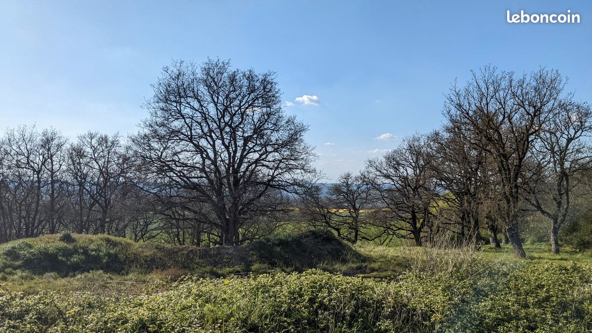 Magnifique terrain constructible sur les hauteurs de Mérenvielle · 180 000 €