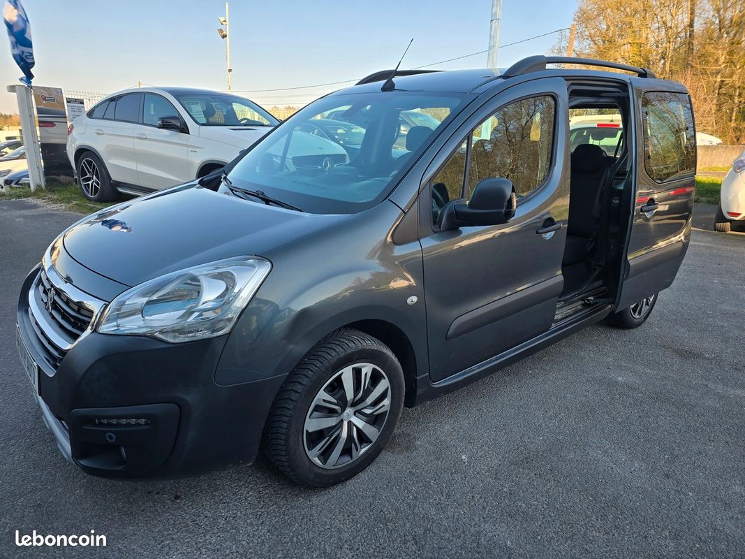 Peugeot Partner Tepee 1.6 hdi 100cv (image 2)