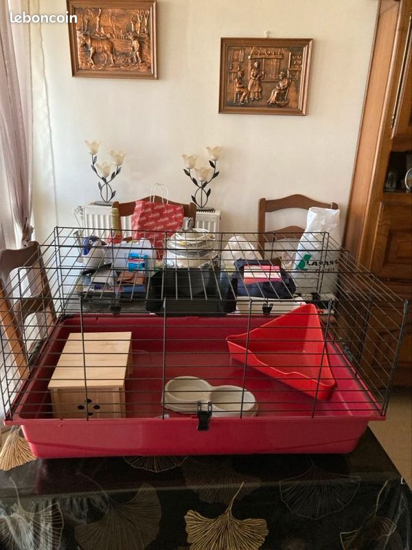 Cage a rongeurs (image 3)