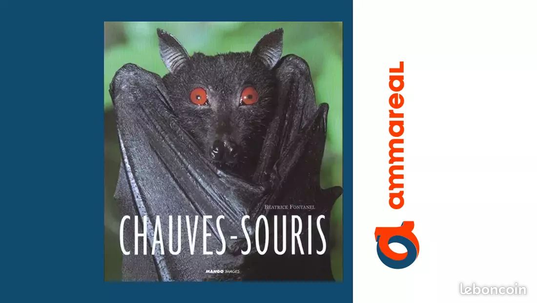 Set D'icônes De Vampire De Chauve-souris Logo Rétro Ancienne