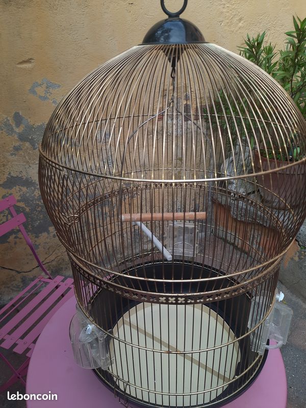 Cage à oiseaux (image 1)