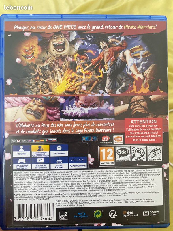 One pirate Warriors 4 (image 2)